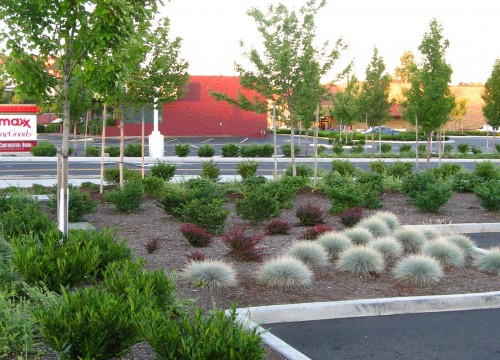 https://www.stangelandlandscape.com/wp-content/uploads/2014/08/TJ-Maxx-3-1000x600.jpg