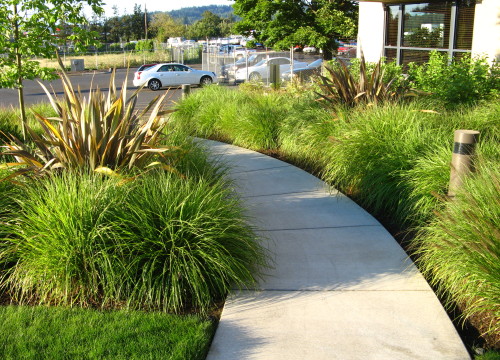 https://www.stangelandlandscape.com/wp-content/uploads/2014/08/entry-path-1000x600.jpg